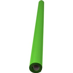 RAINBOW POSTER ROLL 85GSM S/S 760mmx10m Grass Green