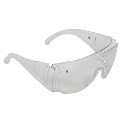 ZIONS VISTORS SPEC CLEAR GLASSES