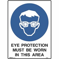 BRADY MANDATORY SIGN Eye Protection 450x600mm Metal