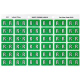 ALPHABETICAL COLOUR CODING LABEL SHEET R PK OF 180
