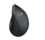 RAPOO EV250 ERGONOMIC VERTICAL WIRELESS MOUSE 6 BUTTONS 80012001600 DPI OPTICAL SILENT CLICK MICE  BLACK RENAMED FROM MV20