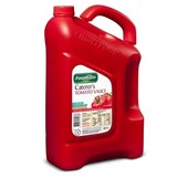 FOUNTAIN SAUCE TOMATO CATERERS 4 LITRE