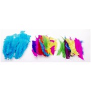 JASART FEATHERS LARGE ASSORTED COLOURS 30GM